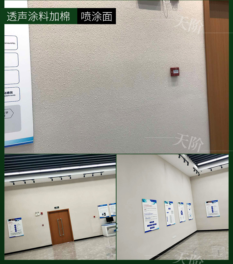 透声涂料板10